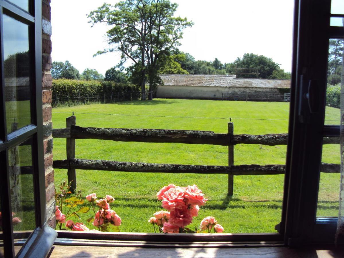 La Pastorale Bed & Breakfast La Puisaye Екстериор снимка