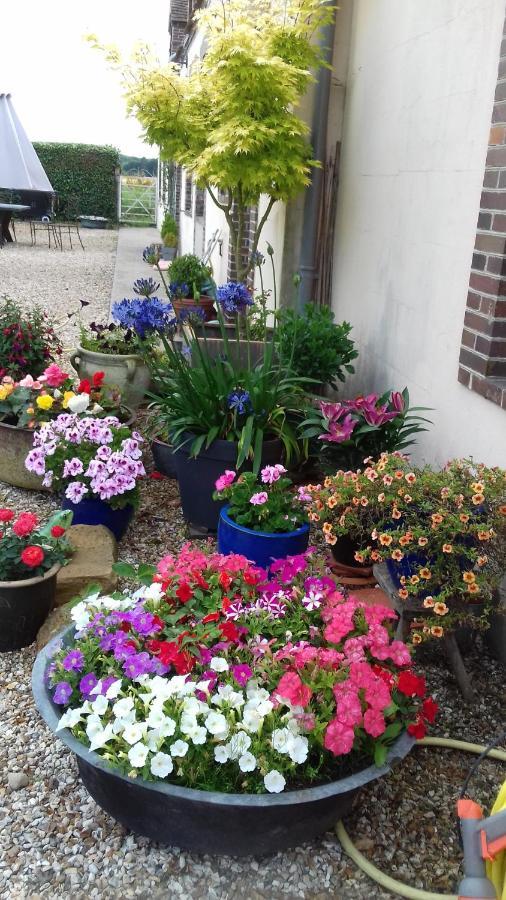 La Pastorale Bed & Breakfast La Puisaye Екстериор снимка